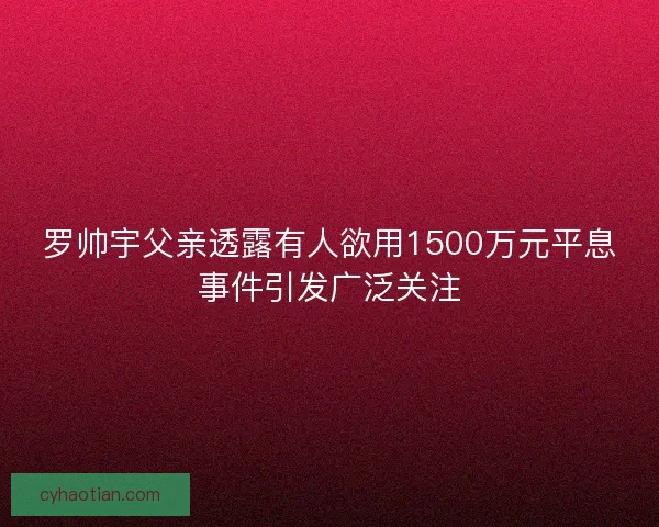 罗帅宇父亲透露有人欲用1500万元平息事件引发广泛关注