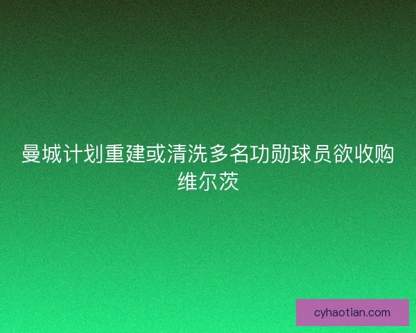 曼城计划重建或清洗多名功勋球员欲收购维尔茨