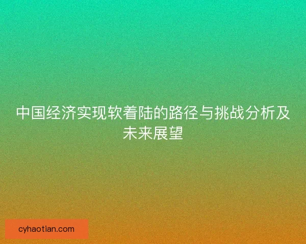 中国经济实现软着陆的路径与挑战分析及未来展望